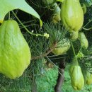 솔밭농장 이미지