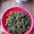 한진농장 2 이미지