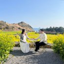 태희상회 | 오랜만에 떠나는 제주도 봄여행🌼