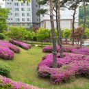 경복궁 행정사사무소 이미지