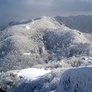 산인-9 이미지