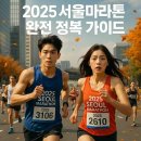 효목고가차도 A1 지점 | 2025 JTBC 서울마라톤 완전 가이드
