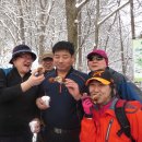 이수건축사사무소 - 목포시 복산길12번길 15 | 이수건축사사무소
