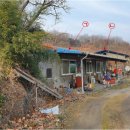 낙동면 비룡리 이미지