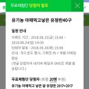 싸다몰 - 남양주시 | [계란우수후기 당첨기념] 부화기&병아리 성장기 :D