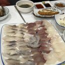 어부김씨 | 부산횟집 추천 도톰하고 신선한 어부홍씨물회 & 화덕생선구이 후기