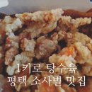 1키로탕수육평택비전점