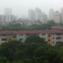 목동서로 이미지