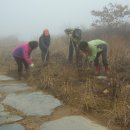 용늪마을영농조합법인 이미지