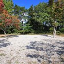 사나래캠핑장 이미지