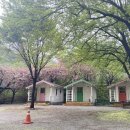 미산가족오토캠핑장 | 문경 미산가족오토캠핑장
