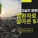 (췌장암4기 암극복vlog)말기암 환자가 되고난후 암환자의 5개월간의 생존여정 1부 현실은 너무나 냉혹하다. 이미지