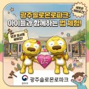 동그리매점 | 광주 아기랑 가볼만한곳 솔로몬로파크 주말 방문 후기