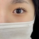 엘리뷰티 눈썹&속눈썹