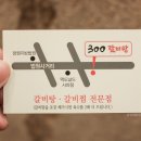 사파동282 이미지