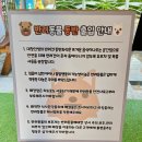 대창인생 | 부산 시청 근처 맛집 ‘대창인생 시청점’(연제구 양대창 모듬구이, 한우 곱창전골 후기)