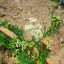 정식농장 이미지