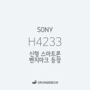 H4233 네이버블로그