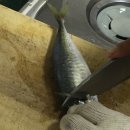 선창해상낚시터 이미지