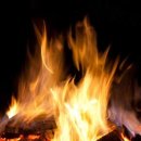 더플레이스바이