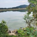 동강1리 이미지