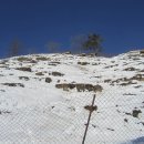 대관령사슴목장 이미지