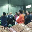 홍천사랑말 TMR 이미지