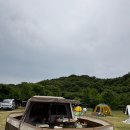 하웃 강아지 울타리 내돈내산 후기 (1.5세트)