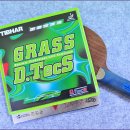 [러버] 티바 Grass D.TecS (그래스 디텍스) ox 이미지