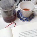 유토피아작은도서관 | 깔짝대던 책들 모음집...