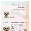 이가네주막 이미지