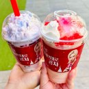 화정문고 | 공차 메뉴 추천 그릭요거티 피치 크러쉬 맛 후기