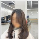 헤어명가 서희