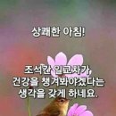 망막질환,당뇨 망막질환 이미지