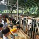 신안초등학교 병설유치원 이미지