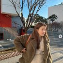 시영사 이미지
