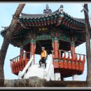 삼호정 이미지