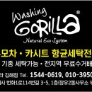 워싱고릴라 이미지