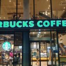 한우반마리 이미지