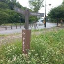 금릉역길 이미지