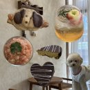 월곡동25 | 광주 월곡동 감성 카페 내돈내산 디저트 맛집 코지누크