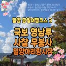 영남사 | 밀양 당일치기여행 코스 3 국보 영남루 사찰 무봉사 밀양아리랑시장