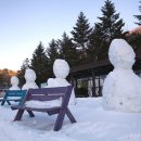 세일목장 이미지