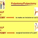 메이동물병원 이미지