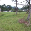 강진읍복지회관 이미지