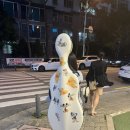 울산페스티벌심포니 제3회 정기연주회 이미지