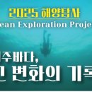 동일리-7 이미지