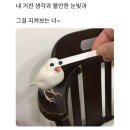 보고상사 이미지