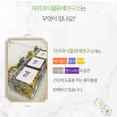 자연과식물원예연구소 이미지