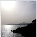 중문대포주상절리대 이미지